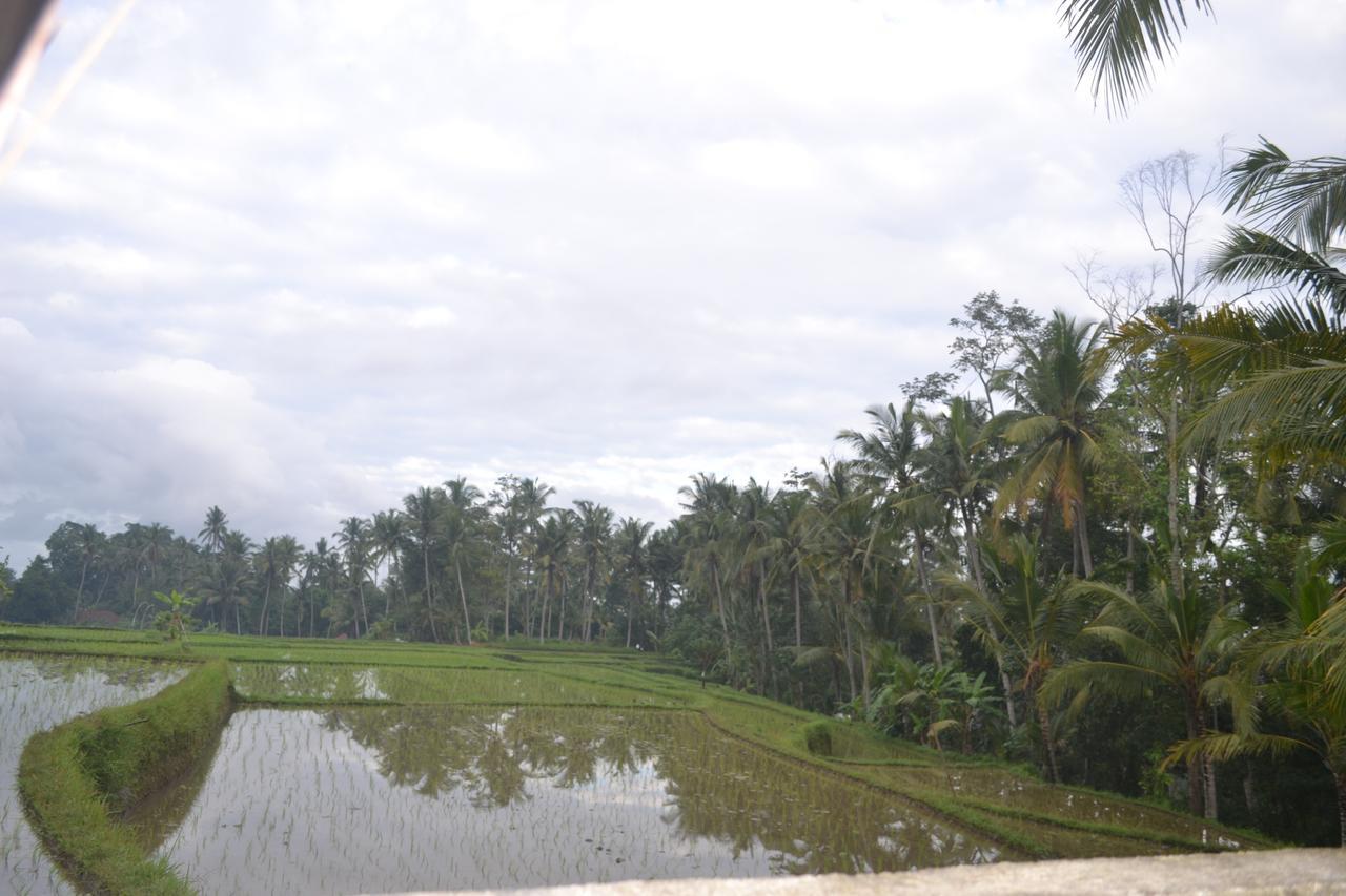 Buda Lodge Ubud